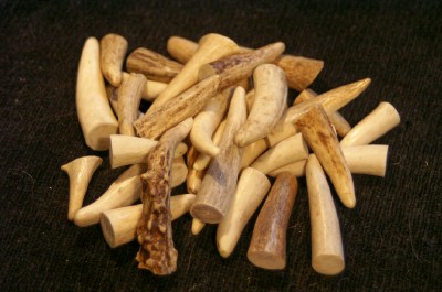 Elk Tips