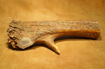 Elk Crown Handle