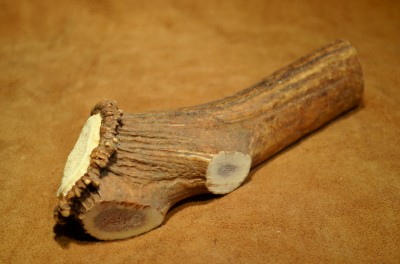 Elk Crown Handle