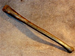 Walrus Oosik