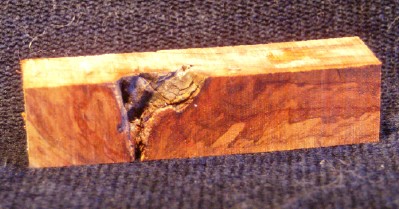 Maple Burl