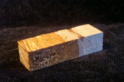 Bird's Eye Maple