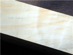 Spalted Maple