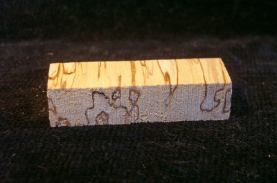 Spalted Yellow Birch